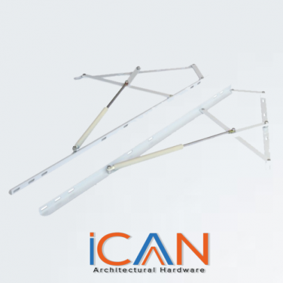 ICN-C13